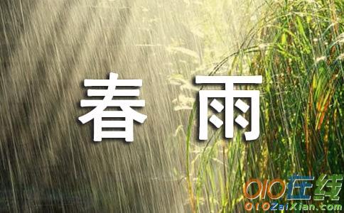 我是春雨春雨作文400字