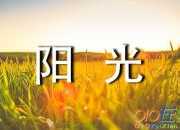 陽光的唯美句子