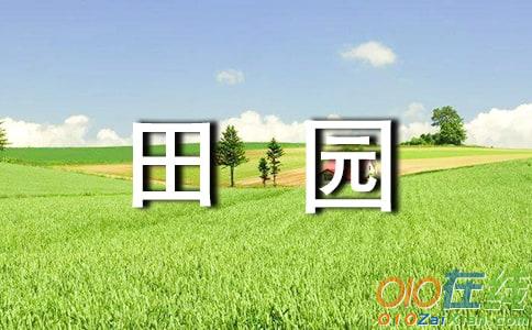 田园风光夏天的作文700字