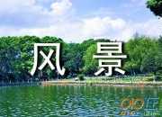 放下是人生路上的一道風(fēng)景作文
