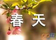 感受春天的不同點六年級作文