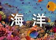 關于海洋館的作文