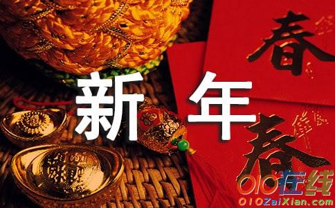 新年见闻作文300字