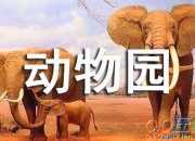動(dòng)物園小學(xué)作文400字9篇