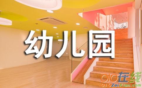 幼儿园大班教师个人工作总结