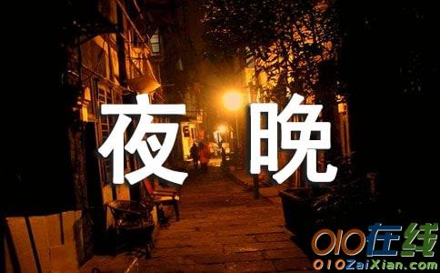 西湖的夜晚作文