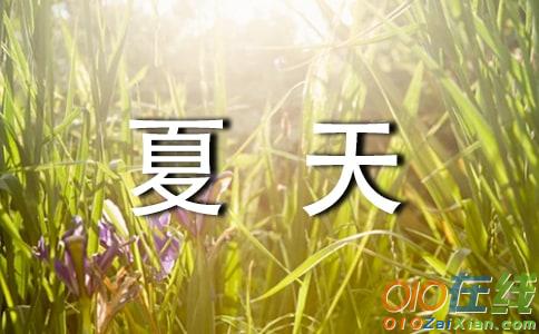 夏天一年级作文400字