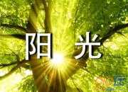 陽光唯美句子