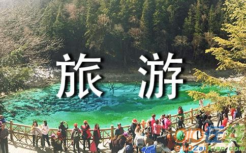 圆气球旅行记作文