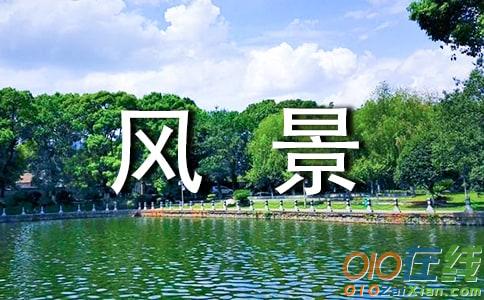 最美的风景作文400字