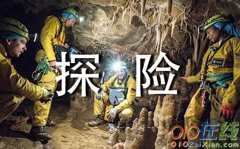 我想象中的探险之旅500字作文