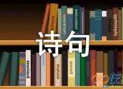 王維寫景的詩句