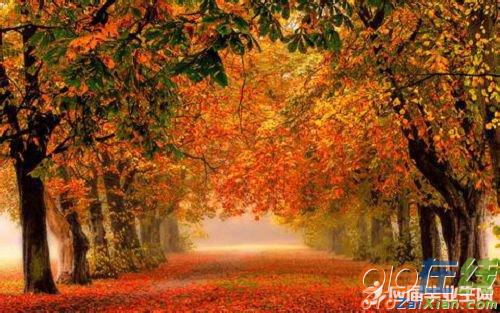 描写秋天的风景的诗句