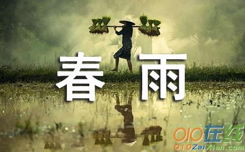 我是春雨春雨作文300字