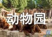 動(dòng)物園小學(xué)作文400字5篇