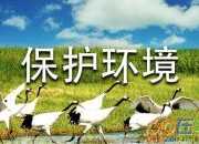 建議保護(hù)環(huán)境的建議書(shū)范文集錦4篇
