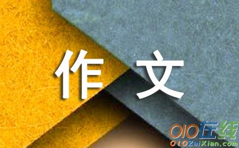 小学发现作文600字