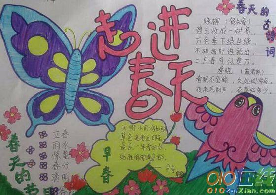 小学生手抄报春天的图画