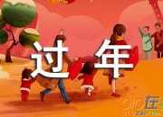 過年感受作文（通用4篇）