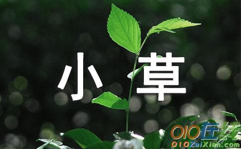 我是一株小草叙事作文