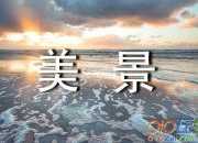 草原的美景作文（精選11篇）