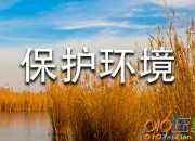 關于建議保護環境的建議書模板匯總4篇