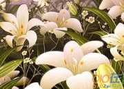 心靈上的百合花開初一作文