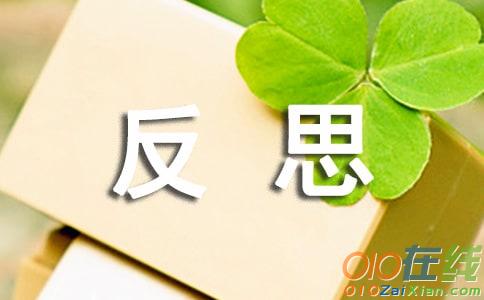 小学反思作文500字