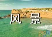 有關(guān)夏日風(fēng)景作文（精選3篇）