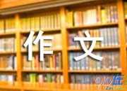 【精华】小小学三年级作文400字合集7篇