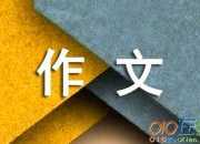 傳統文化作文（精選5篇）