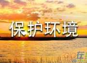 有關(guān)建議保護(hù)環(huán)境的建議書(shū)模板集錦三篇