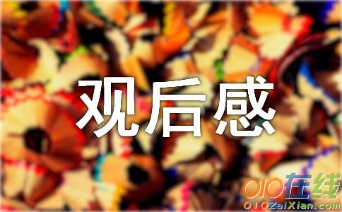 沦落人观后感