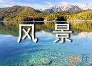 夏日中的風(fēng)景作文