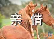 關于親情的作文600字（精選8篇）
