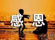 感恩我的母親作文600字8篇