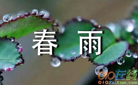 春春雨雨作文300字