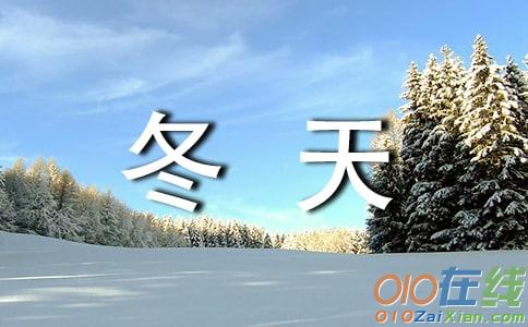 冬天的雪，我爱你作文