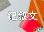 心靈之門初中記敘文（精選3篇）