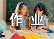 沒寫物理作業(yè)檢討書