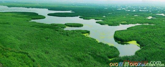 “保护湿地资源，保护生态环境”倡议书