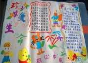 中學生交通安全手抄報圖片