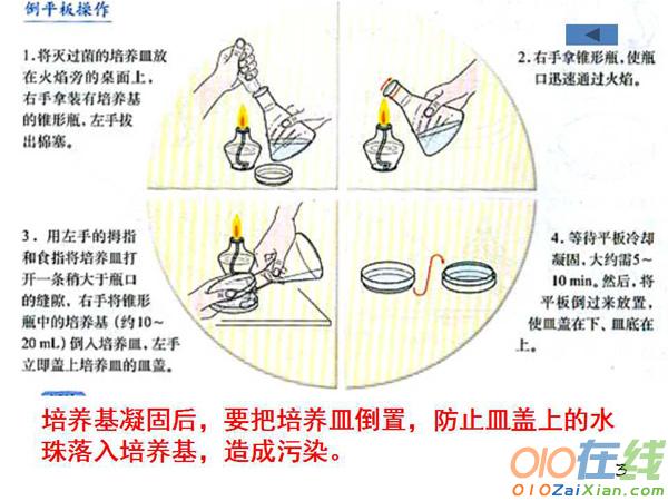 微生物的实验室培养课件