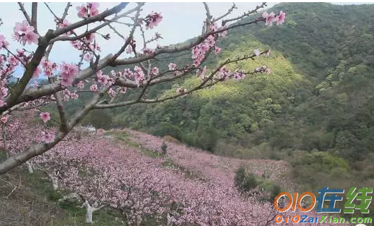 桃花的优美诗句