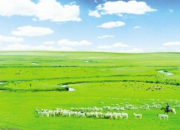 內(nèi)蒙古大草原作文500字