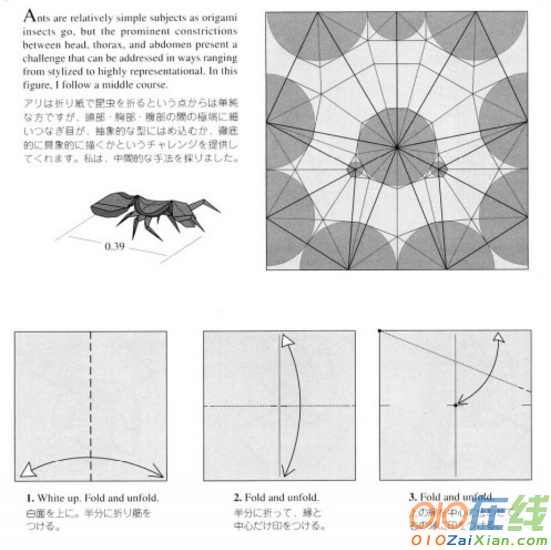 蚂蚁折纸图解