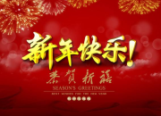 寫我的新年愿望作文600字