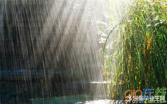 清明节雨天图片