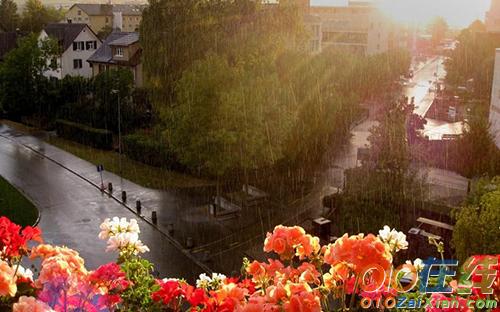 清明节雨天图片