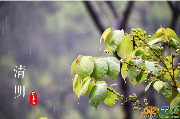 清明节雨天图片